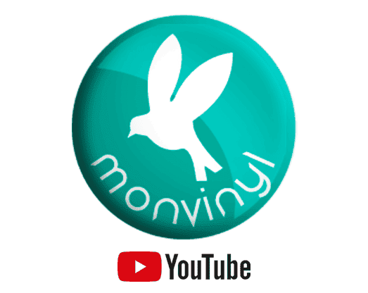 04-monvinyl-YT