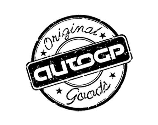 06-autogp